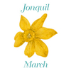 Earrings Clip-on - March