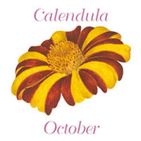 Earrings Clip-on - October
