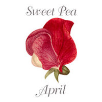 Earrings Pierced - April
