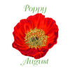 Earrings Pierced - August