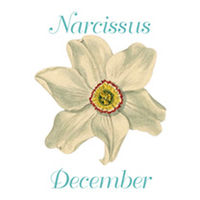 Earrings Pierced - December