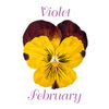 Earrings Pierced - February