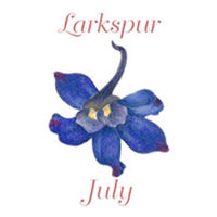 Earrings Pierced - July