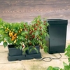 Easy 2 Grow Irrigation Kit