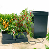 Easy 2 Grow Irrigation Kit plus FREE SEEDS!