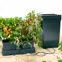 Easy 2 Grow Kit plus Extension plus FREE SEED
