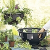 Easy Fill Hanging Baskets