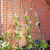 Easy Flower Grow Frame - 2.4 x 1.2m