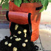 Easy-harvest Patio Potato Planters