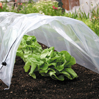 Easy Polythene Film Tunnel - Standard