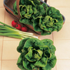 Easy-to-Grow Veg Collection