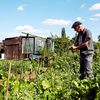 Easy Vegetable Grow Frame - 1.2m x 2.4m