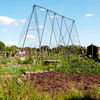 Easy Vegetable Grow Frame - 2.4 x 2.4m