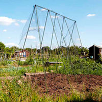 Easy Vegetable Grow Frame - 2.4 x 2.4m