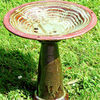 Echoes Bird Bath with Pedestal