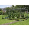 Economy Fruit Cage