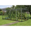 Economy Fruit Cage with Zip Net - Galvanised