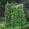 Elegance Runner Bean Frame W-2M H-2M D-0.18M