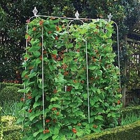 Elegance Runner Bean Frame W-2M H-2M D-0.18M