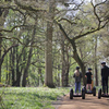 Family Woodland Adventure Segway Experience at The Grove 5* Country Retreat