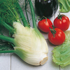 Fennel Seeds - Zefa Fino