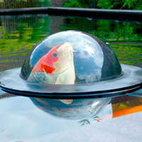 Floating Fish Dome