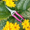 FloraBrite™ Bypass Harvesting Snip - Pink