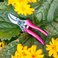 FloraBrite™ Bypass Secateurs - Pink