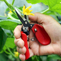 Floral Shears