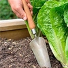 Flowerbed Trowel with 22cm Cherry Handle