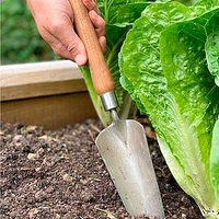 Flowerbed Trowel with 22cm Cherry Handle