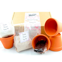 Flowerpot Kit - Chocolate Flowerpot Baking Kit