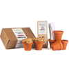 Flowerpot Offer