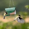 Flutter Butter Feeder & Pods