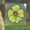 Fly Trap Window Stickers