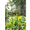 Fold-a-Frame