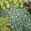 Forest Green Chippings - Bulk