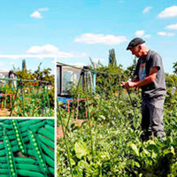 Frame & Seed Offer Pea Hurst Greenshaft