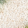 French Pearl - Bulk