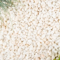 French Pearl - Bulk
