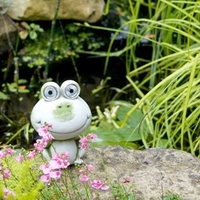 Frog with Solar Lights