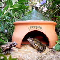 Frogilo