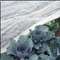 Frost Protection Fleece