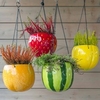 Fruit Flower Pot Offer
