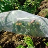 Fruit Tree Sleeves