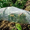 Fruit Tree Sleeves