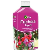 Fuchsia Feed
