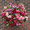 Fuchsia Sparkling Giant Collection