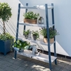 Galaxy Plant Shelf