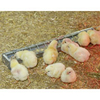 Galvanised Feeder for Chicks
